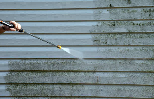 Best Roof Pressure Washing  in Lincolnton, GA
